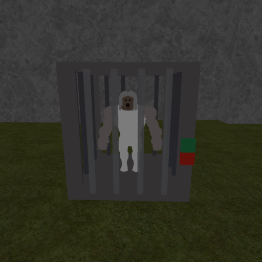 Dont let GRANNY out (HOUSE PARTY)