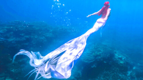 🌊MERMAID HOME!