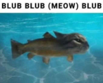 zeebleglorp