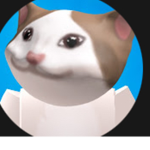 Pop cat grupo