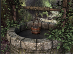The Wishing Well