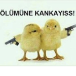 Kankalar kral aga