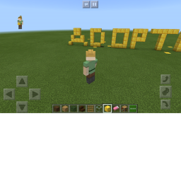 Capture the flag! (XD THE ADOPT ME FAN GROUP XD)