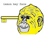 lemon key face gaming