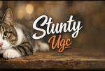 Stunty Ugc