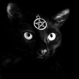 •°.★ † I sit and