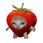 UwU_shopping