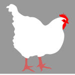 chicken_tribe