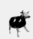 Alguém quer fazer parte do meu grupo?