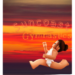 Suncoast Gymnastics group gym