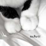 >_< ne3wii