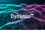 DynamicTM