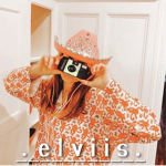 .elviis.