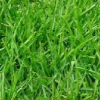 be on a flying island and do nothing