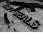 navy seals millatary