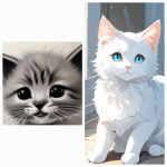 Black & wiat cat