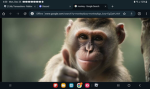 Monkey group (very cool)
