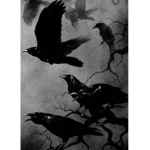 Crows with notes