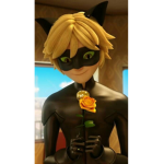 Cat noir simps