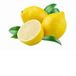 The lemon grouo