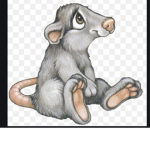 U.S.R United States Of Rats