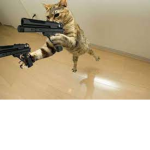 Hood Cats