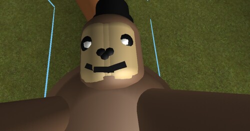 Sloth world