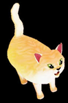 Raise a cat community