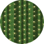 Cactus! Roblox badge thumbnail