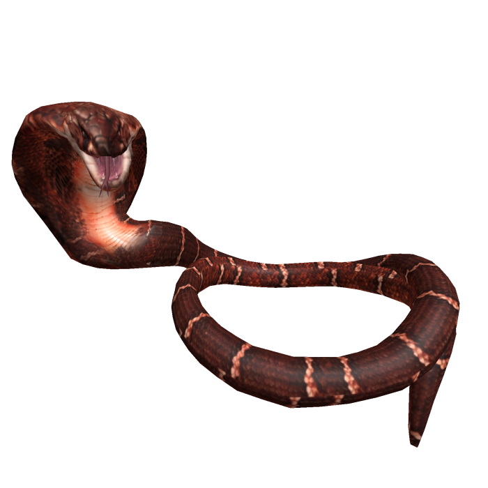 Cobra snake wrapped around neck