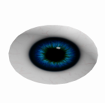 eye