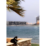 Kwalakuw_2070