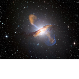 Among the Stars