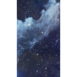 The Star Aesthetics