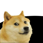 | The Kingdom of Doges |