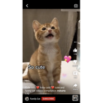Animals News