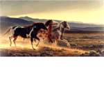 Horse lovers of the world