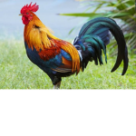 #### fights