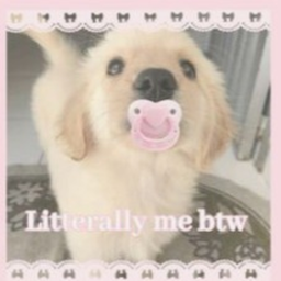 ♡︵