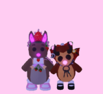 kangarookaratekelly