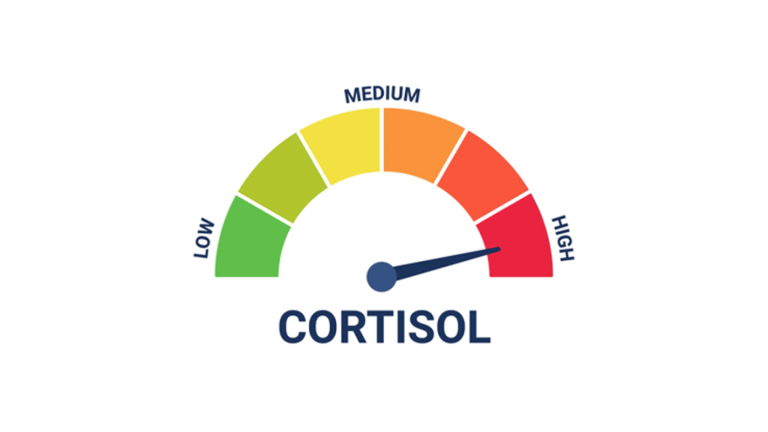 Low Cortisol Simulator! screenshot 1