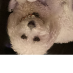 Rubys magical world!