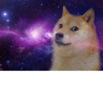 Doge (Official)