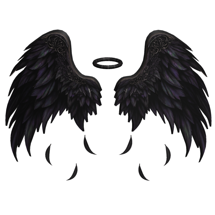 Emo Gothic Black Wings Dark Academia
