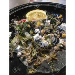 Salad City Original