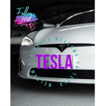 Greenville Tesla owners club