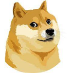 Doge Assemblage