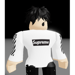 Fighters Sim V(soon)