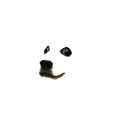 Invisible Doge