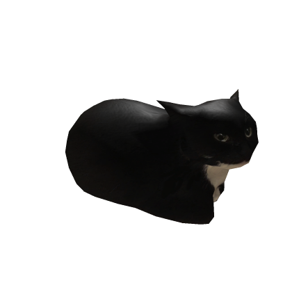 gato